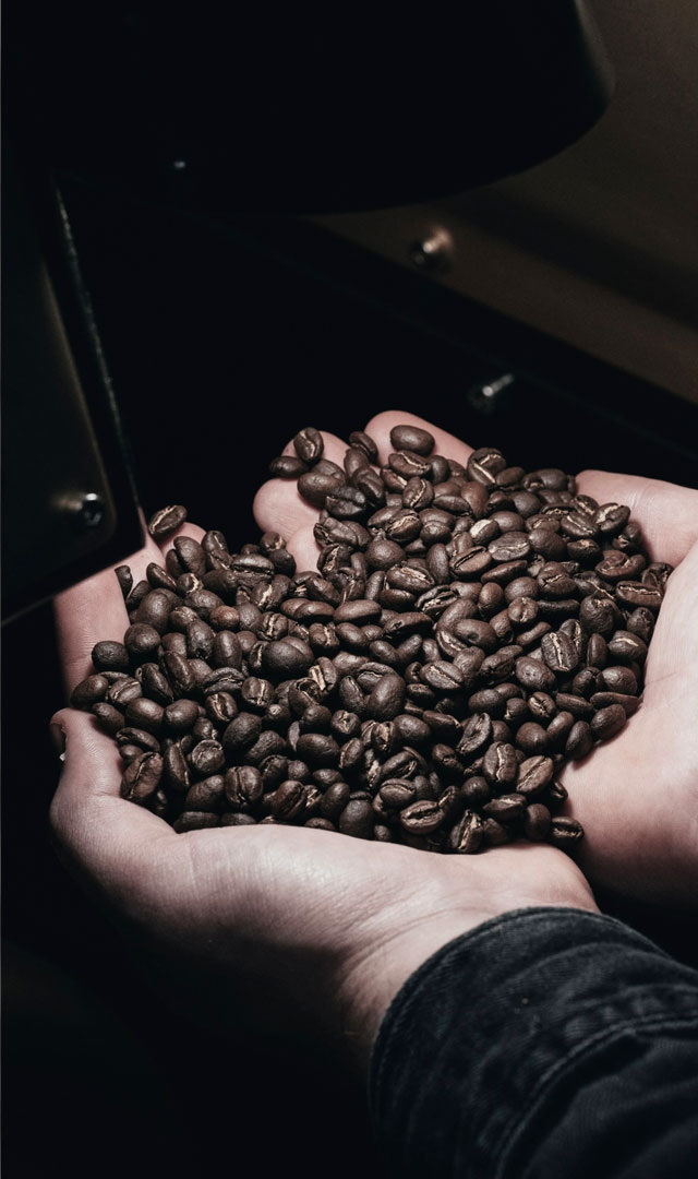 beans-rengitcoffee-story-02